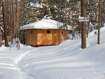 The Sauna