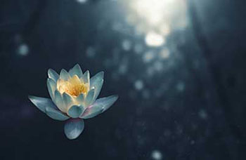 Is Spirituality the New Polarizer?